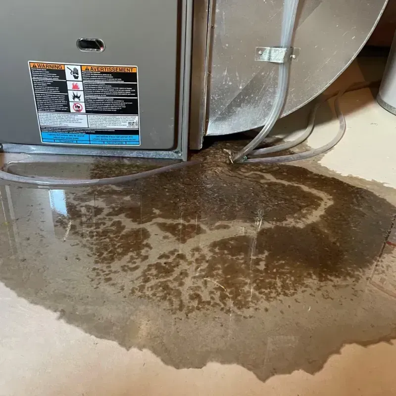 Appliance Leak Cleanup in Horicon, WI